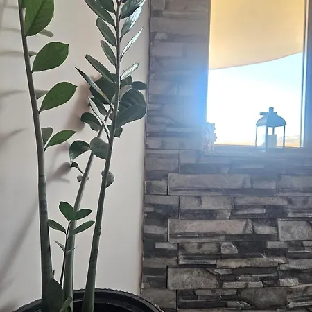 22 * וליקו טורנובו